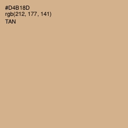 #D4B18D - Tan Color Image