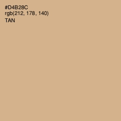 #D4B28C - Tan Color Image