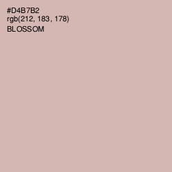 #D4B7B2 - Blossom Color Image