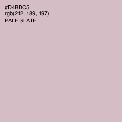 #D4BDC5 - Pale Slate Color Image