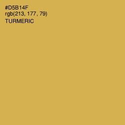 #D5B14F - Turmeric Color Image