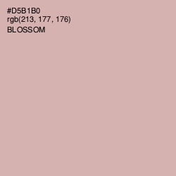 #D5B1B0 - Blossom Color Image