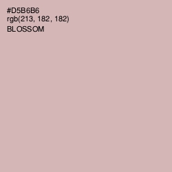#D5B6B6 - Blossom Color Image