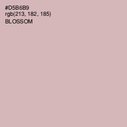#D5B6B9 - Blossom Color Image
