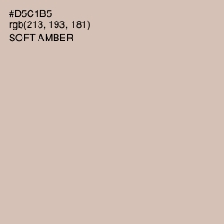 #D5C1B5 - Soft Amber Color Image