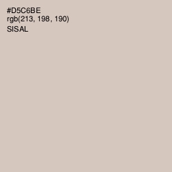 #D5C6BE - Sisal Color Image