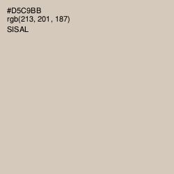 #D5C9BB - Sisal Color Image