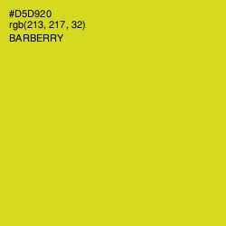 #D5D920 - Barberry Color Image