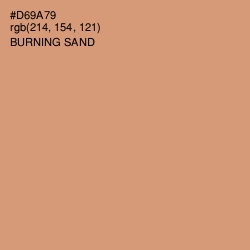#D69A79 - Burning Sand Color Image