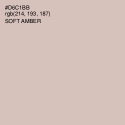 #D6C1BB - Soft Amber Color Image