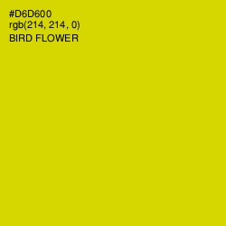 #D6D600 - Bird Flower Color Image