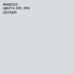 #D6DCE0 - Geyser Color Image