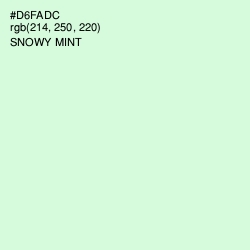#D6FADC - Snowy Mint Color Image