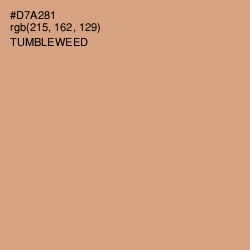 #D7A281 - Tumbleweed Color Image