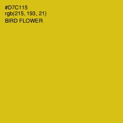 #D7C115 - Bird Flower Color Image