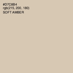 #D7C8B4 - Soft Amber Color Image