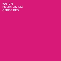 #D81978 - Cerise Red Color Image