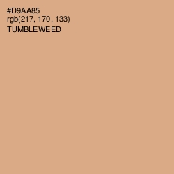 #D9AA85 - Tumbleweed Color Image