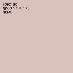 #D9C1BC - Sisal Color Image