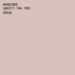 #D9C2BE - Sisal Color Image