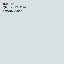 #D9E0E1 - Swans Down Color Image