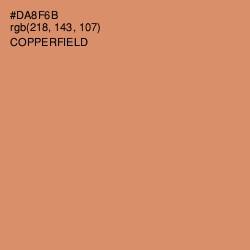 #DA8F6B - Copperfield Color Image