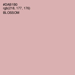 #DAB1B0 - Blossom Color Image