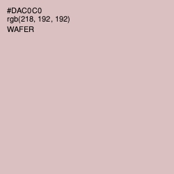 #DAC0C0 - Wafer Color Image