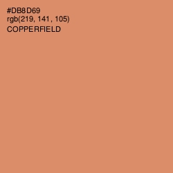 #DB8D69 - Copperfield Color Image