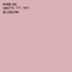 #DBB1B5 - Blossom Color Image