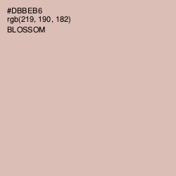 #DBBEB6 - Blossom Color Image