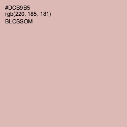 #DCB9B5 - Blossom Color Image