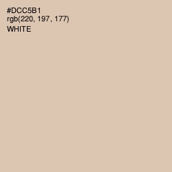 #DCC5B1 - Soft Amber Color Image
