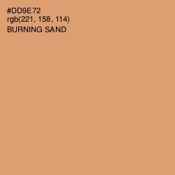 #DD9E72 - Burning Sand Color Image
