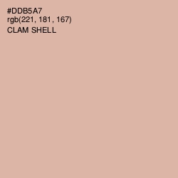 #DDB5A7 - Clam Shell Color Image