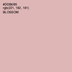 #DDB6B5 - Blossom Color Image
