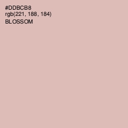 #DDBCB8 - Blossom Color Image