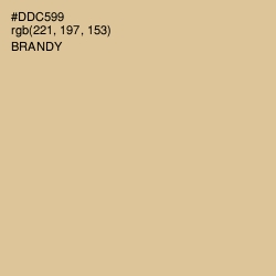 #DDC599 - Brandy Color Image