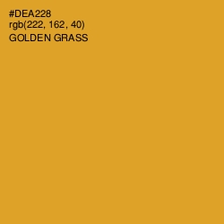 #DEA228 - Golden Grass Color Image