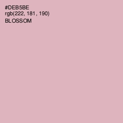 #DEB5BE - Blossom Color Image