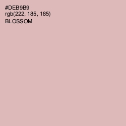 #DEB9B9 - Blossom Color Image