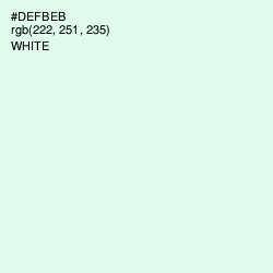 #DEFBEB - Swans Down Color Image
