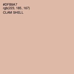 #DFB9A7 - Clam Shell Color Image