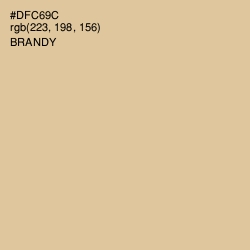 #DFC69C - Brandy Color Image