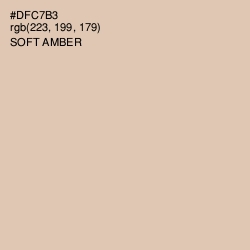 #DFC7B3 - Soft Amber Color Image