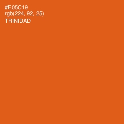 #E05C19 - Trinidad Color Image