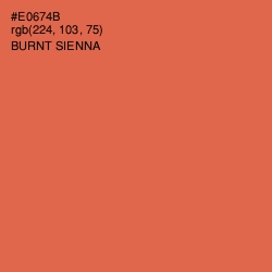#E0674B - Burnt Sienna Color Image