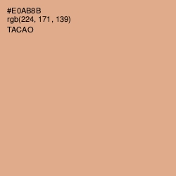 #E0AB8B - Tacao Color Image