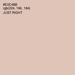 #E0C4B8 - Just Right Color Image