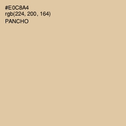 #E0C8A4 - Pancho Color Image